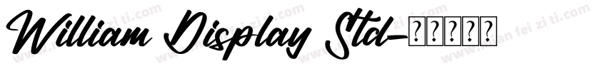 William Display Std字体转换